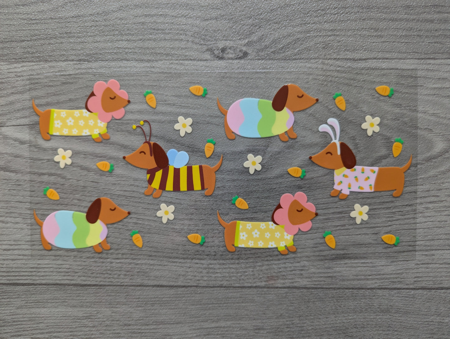 16oz straight UVDTF - sausage dogs - Daschund