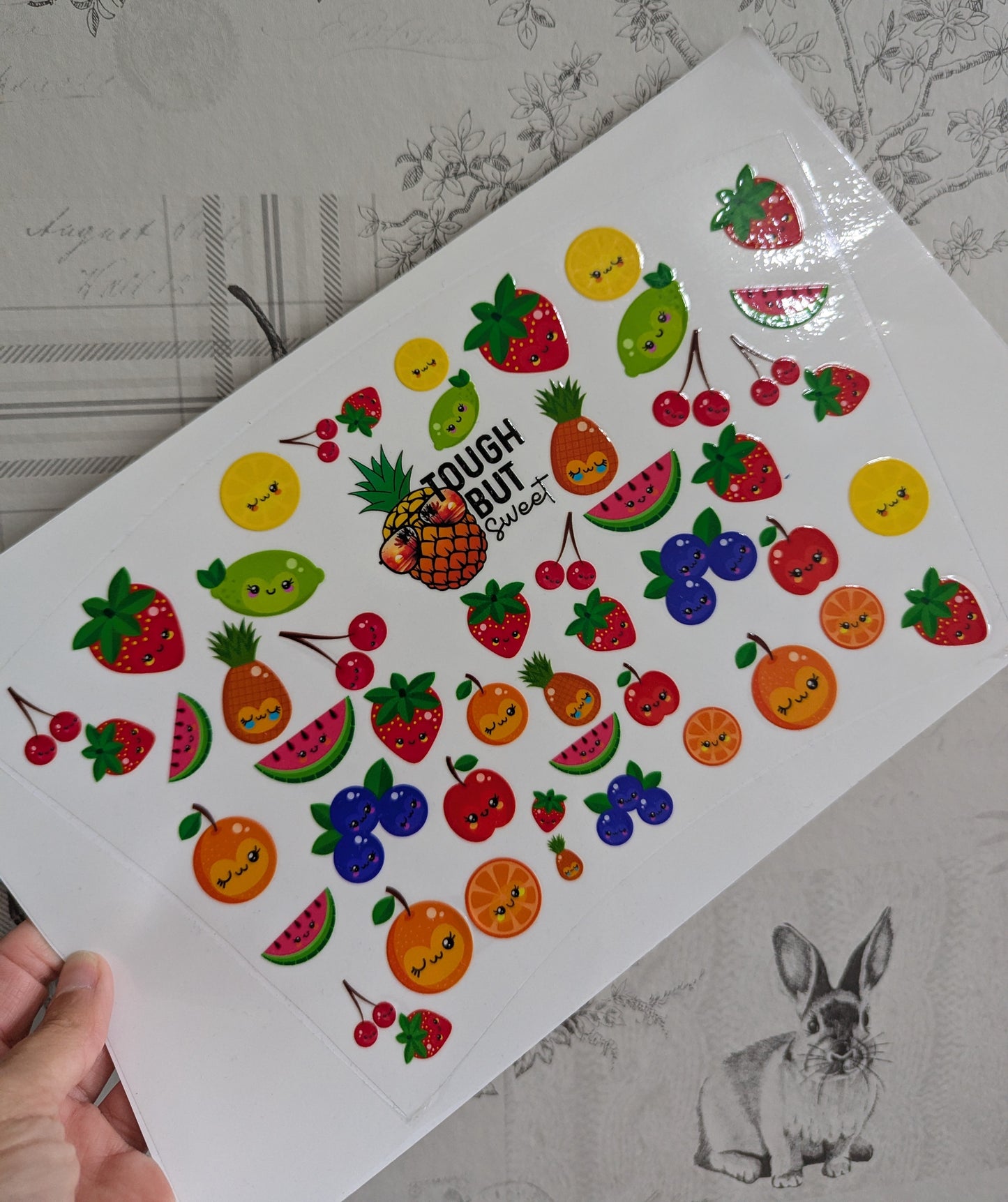 24oz Curved UVDTF - Fruits