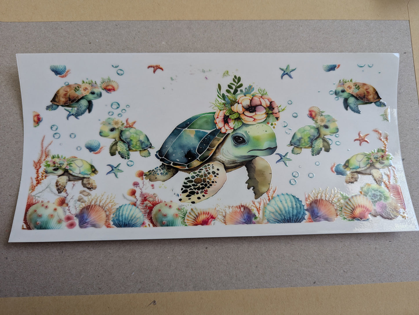 16oz straight UVDTF - turtle