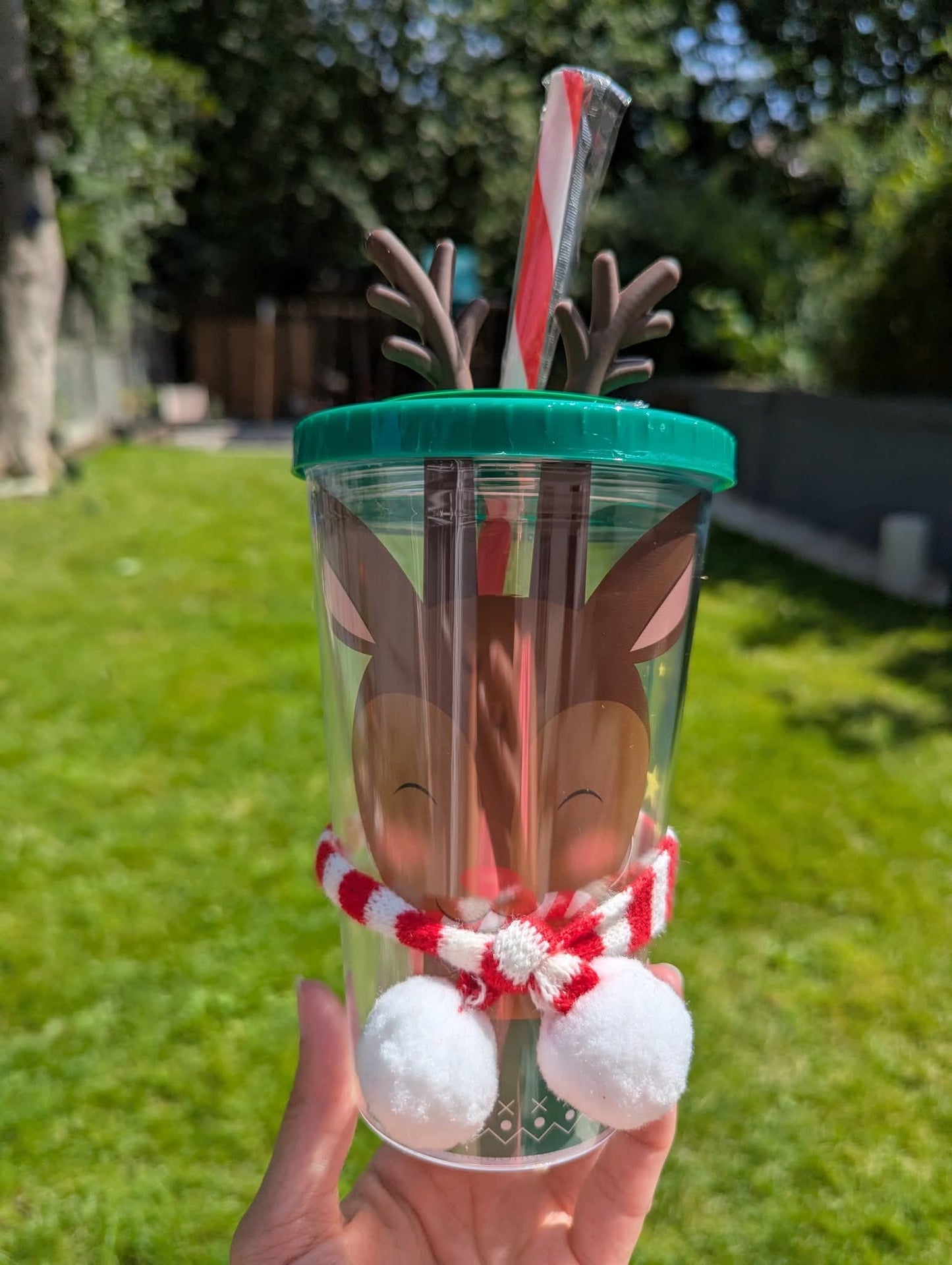 Christmas Acrylic cup