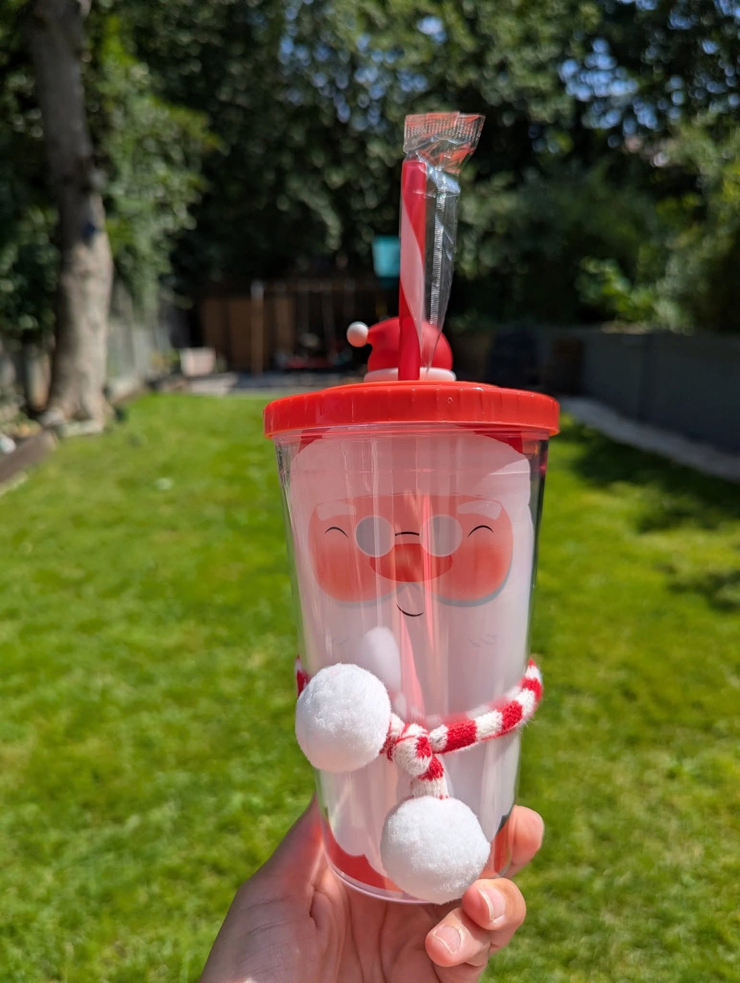Christmas Acrylic cup
