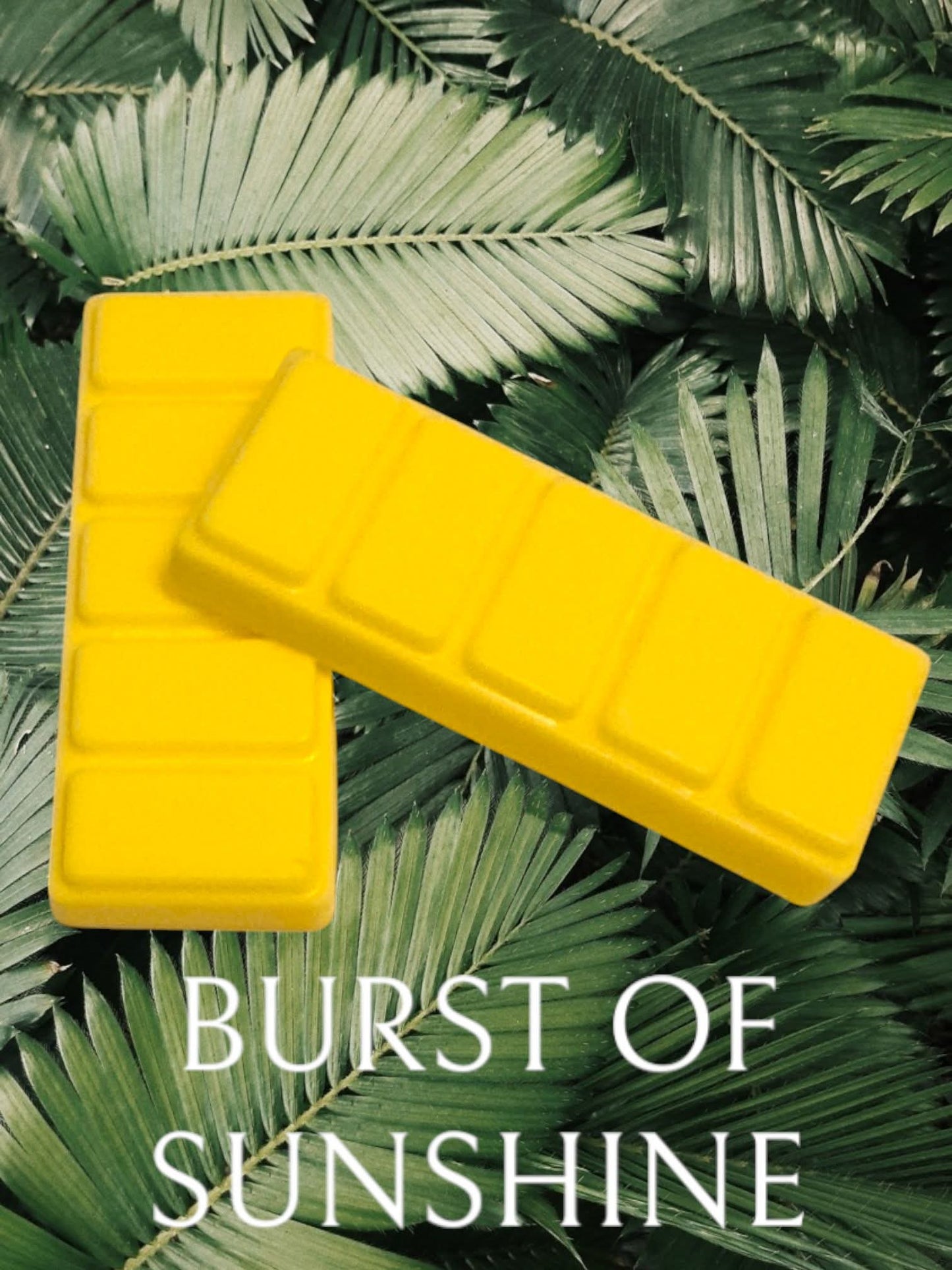 BURST OF SUNSHINE - WAX MELT SNAP BAR