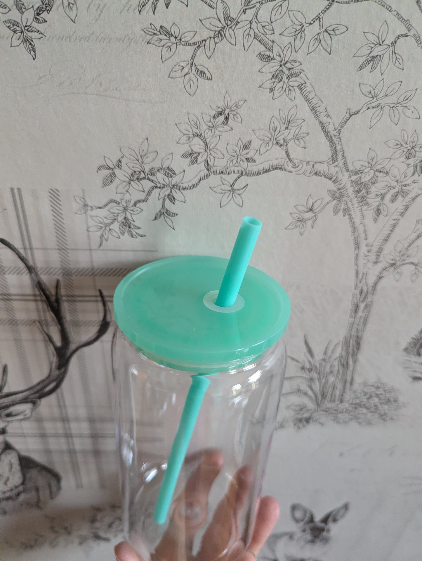 16oz Clear MINT Plastic Libbey Can Cups