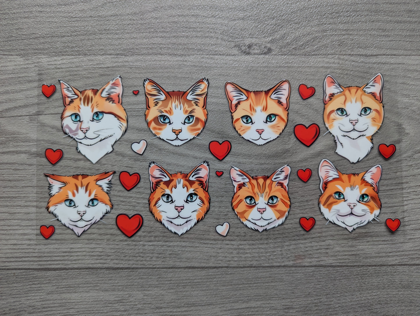 16oz straight UVDTF - cats