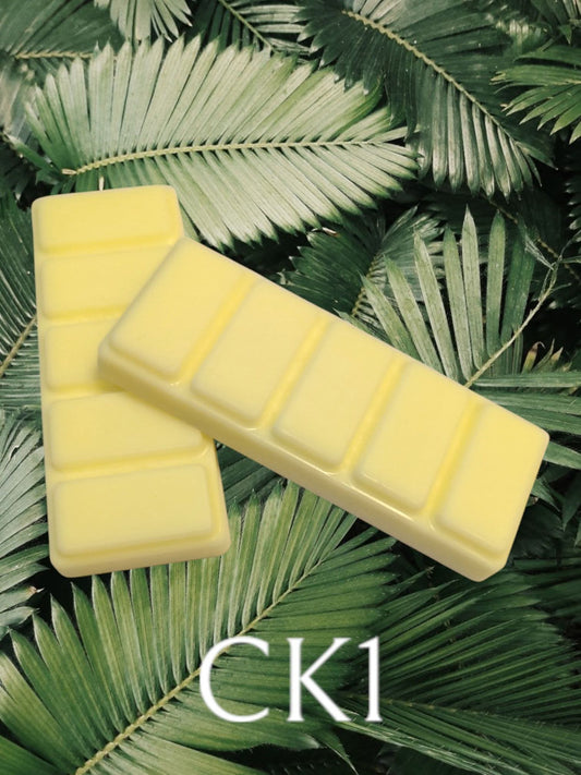 CK1 - WAX MELT SNAP BAR