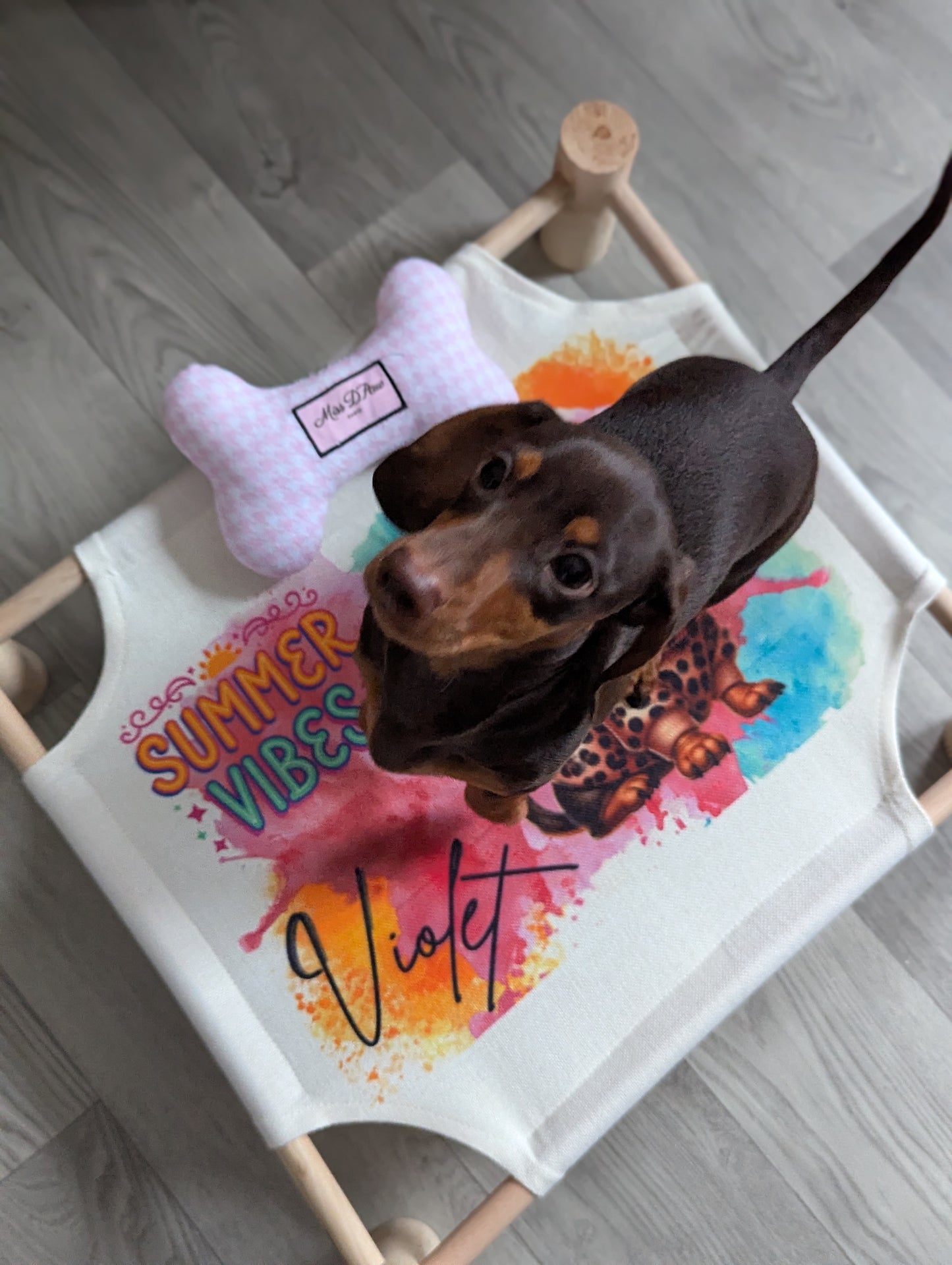 Sublimation Pet Hammock