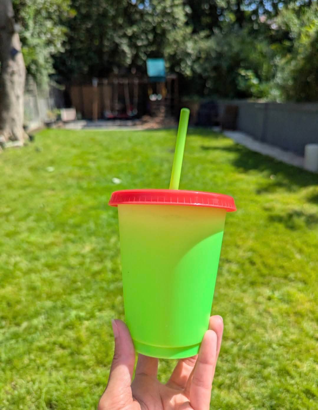 16oz green/red cold cup
