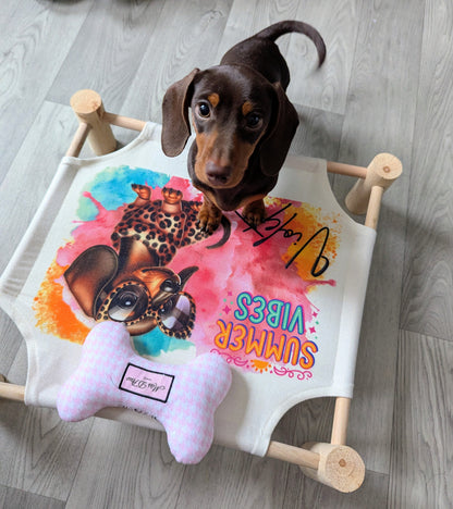 Sublimation Pet Hammock