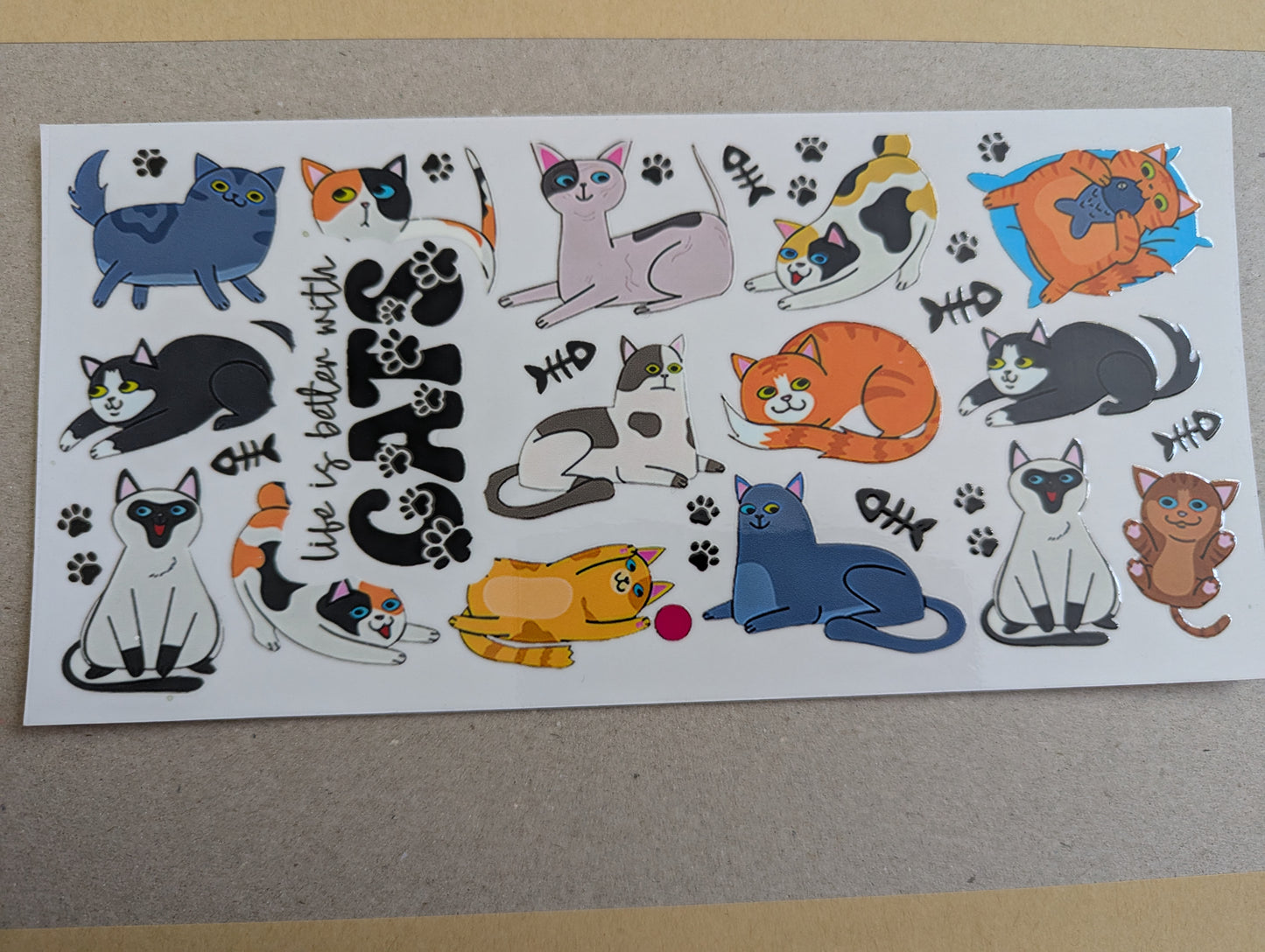 16oz straight UVDTF - cats