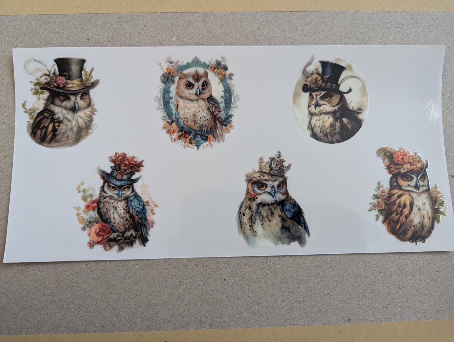 16oz straight UVDTF - owls