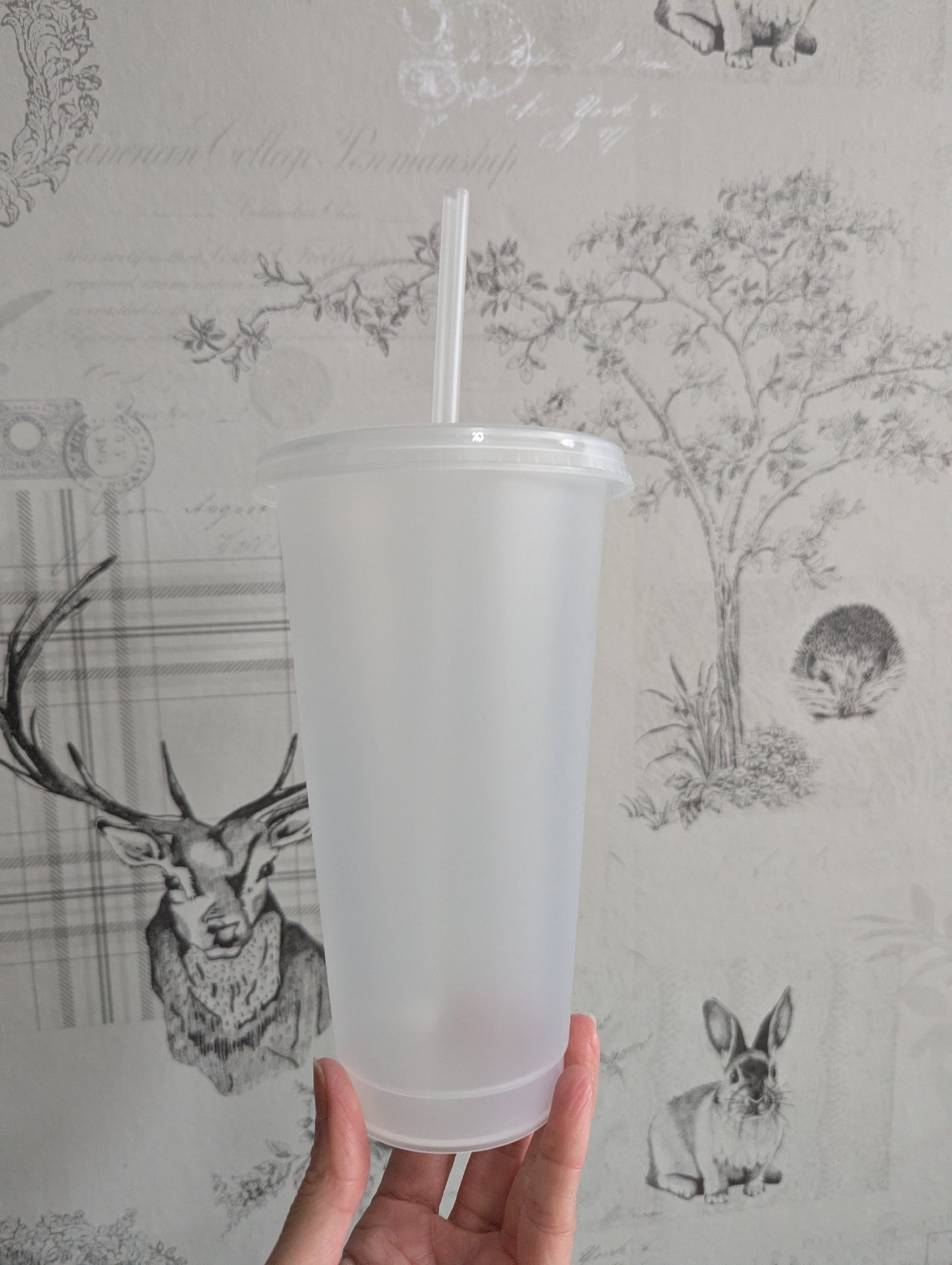 24oz Clear Frosted Cold cup