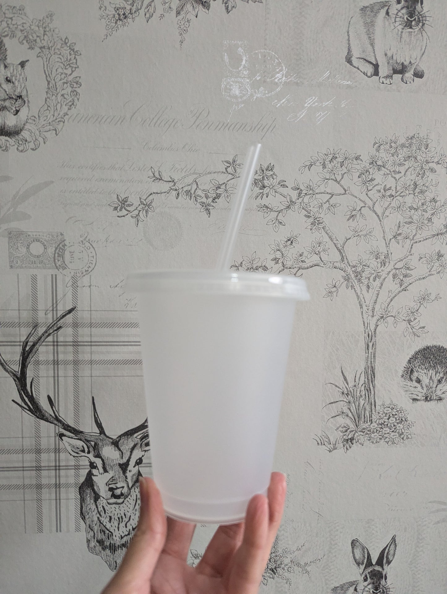 16oz Clear Frosted Cold cup